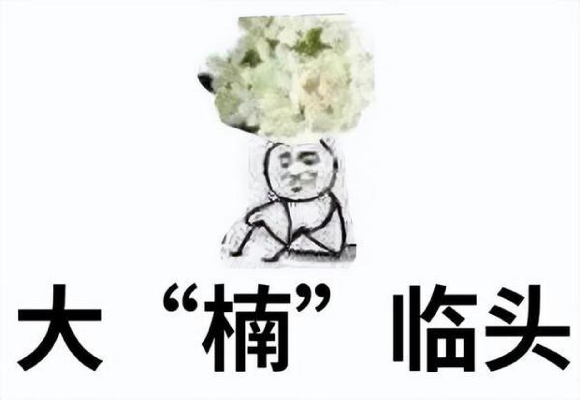 表情包:又到了石楠花开的季节[晕]