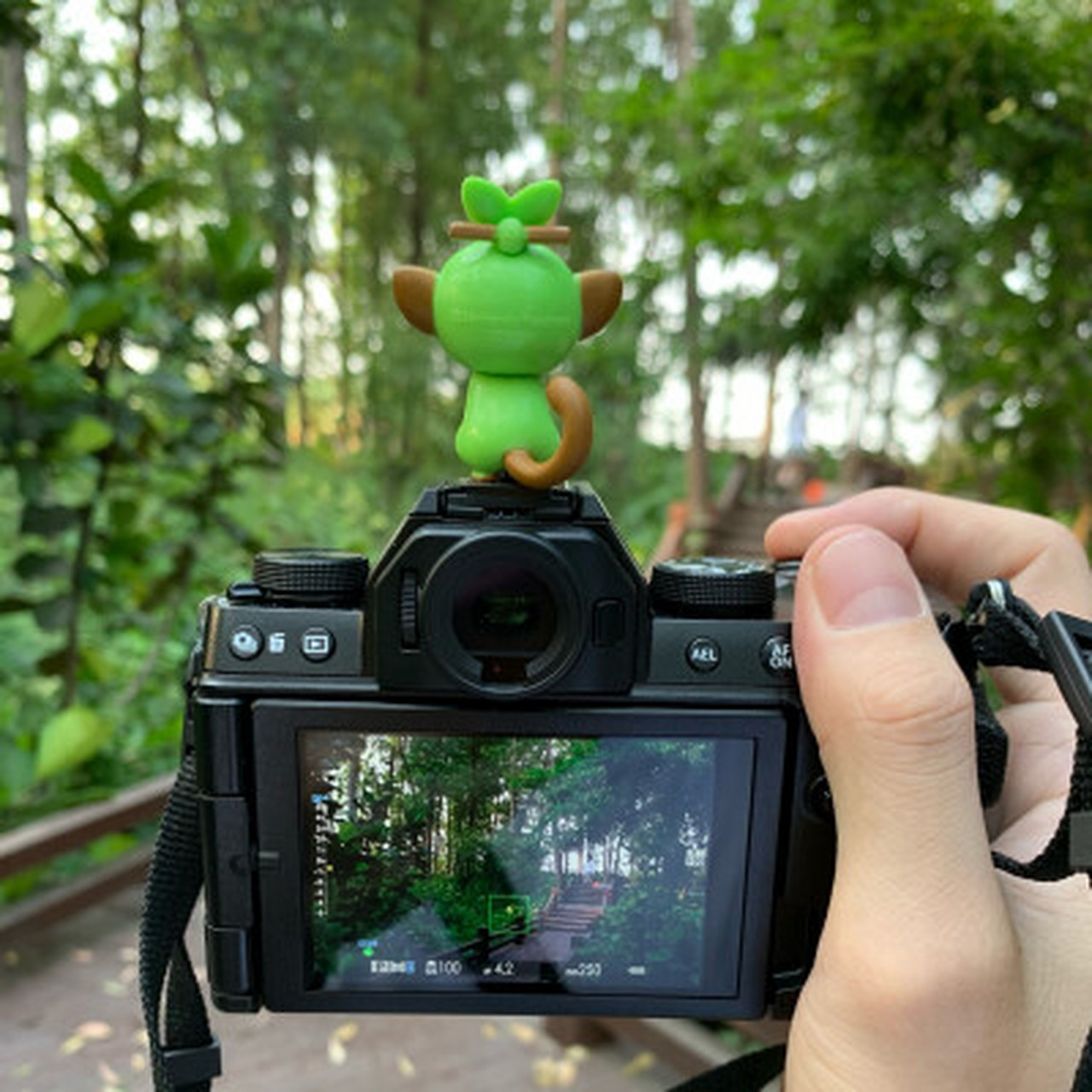 富士xs10对比x30,尼康zfc与富士xs10评测  【个人认为富士xs10还不错