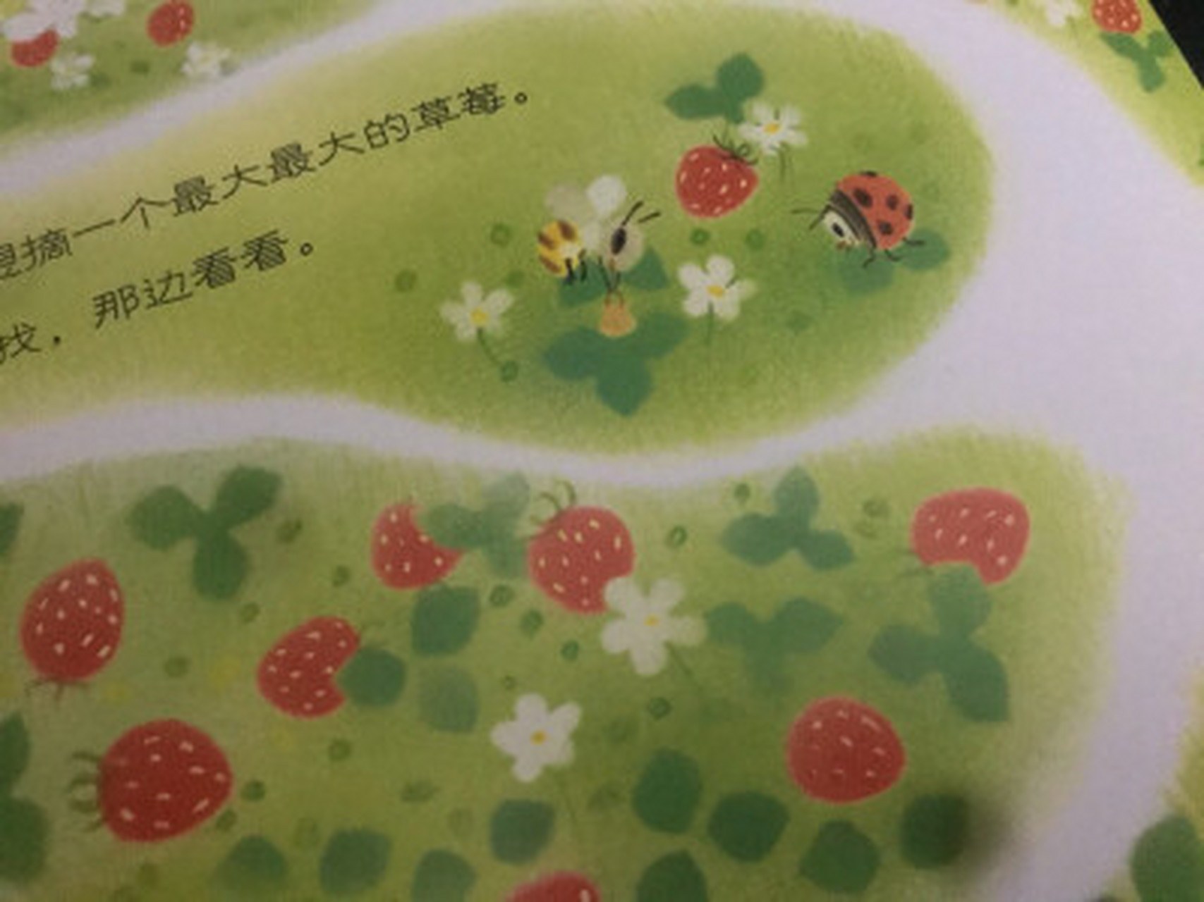 佳能6d2与索尼a7m2选购,佳能6d2跟80d录像的区别  佳能6d2其实也还