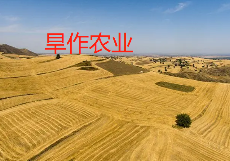 旱作农业有什么特点