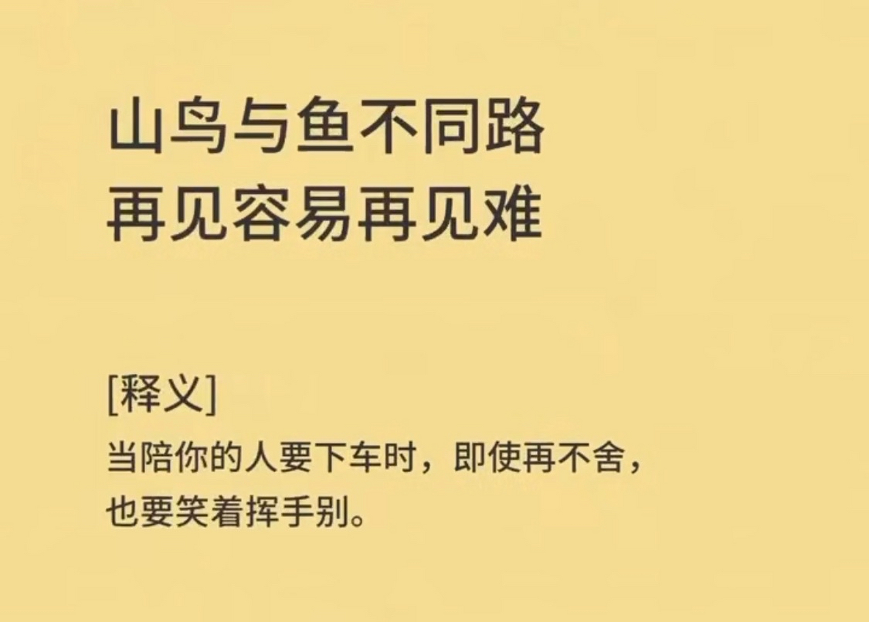 山鸟与鱼不同路 再见容易再见难  风起而行风静自安 温柔两半从容一生