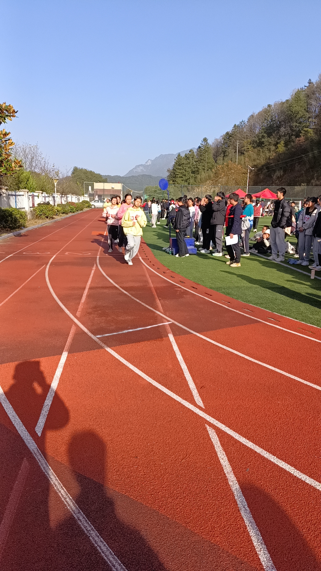 师德师风与教育之路