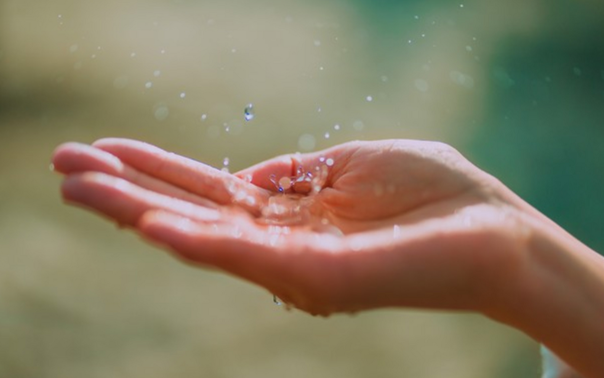 我们为什么总想要抓住那些我们根本抓不住的东西?