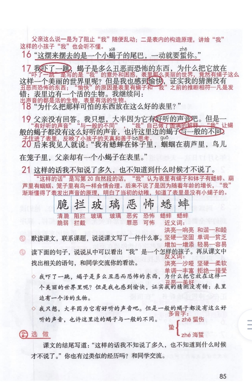 六年级语文下册第十六课《表里的生物》课堂笔记