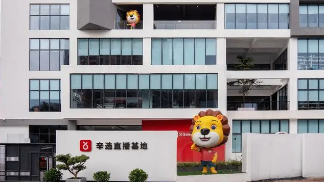 辛选ceo辞职:辛巴大主播逼宫 ** 披露