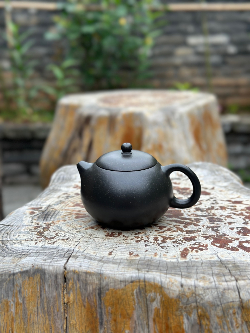 【西施】 九龄君子兰泥料 220cc 高工汤宣武作品,范泽锋监制!