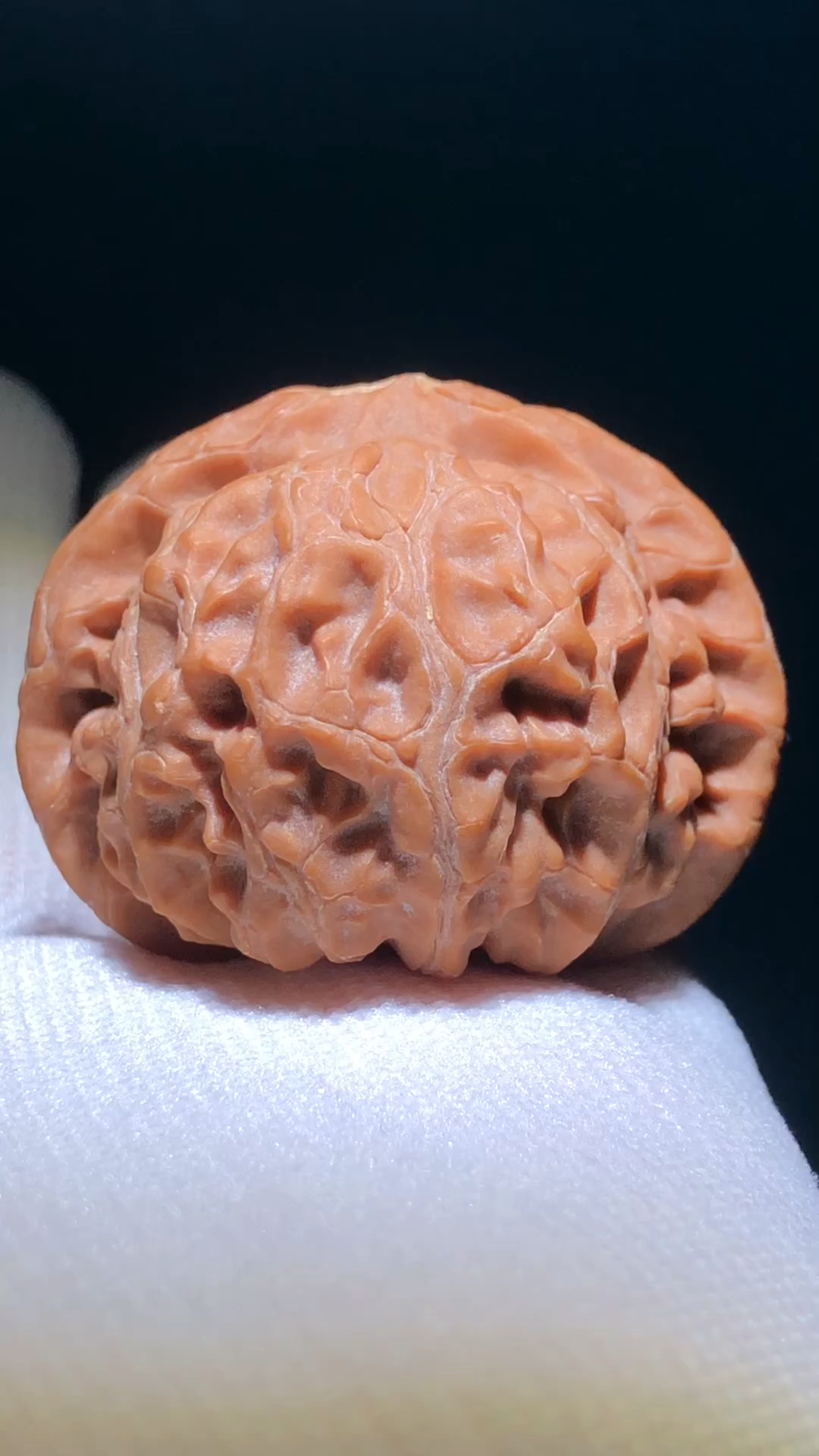 老树玉玺宫灯狮子头