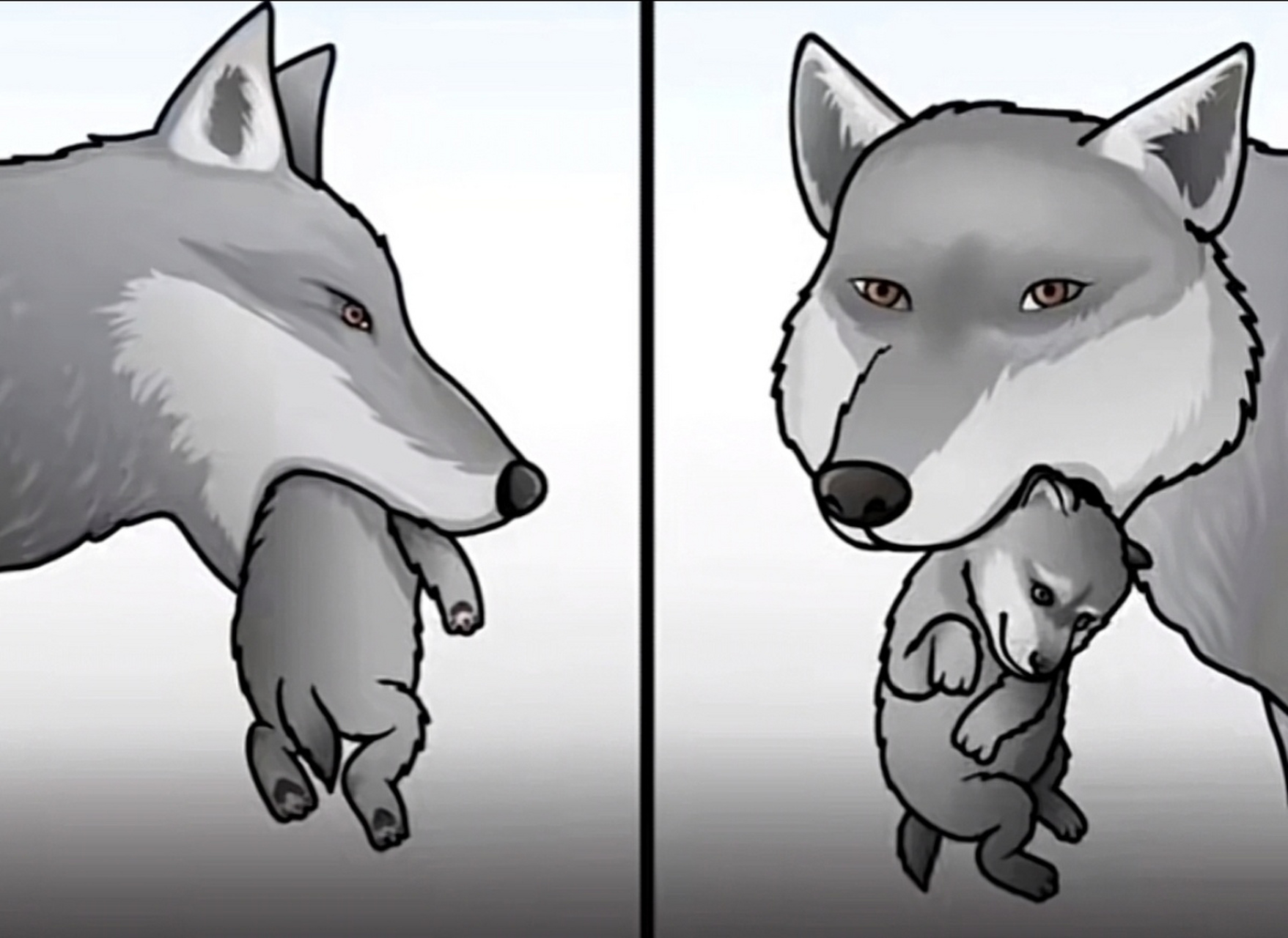 看到这张图你明白了什么