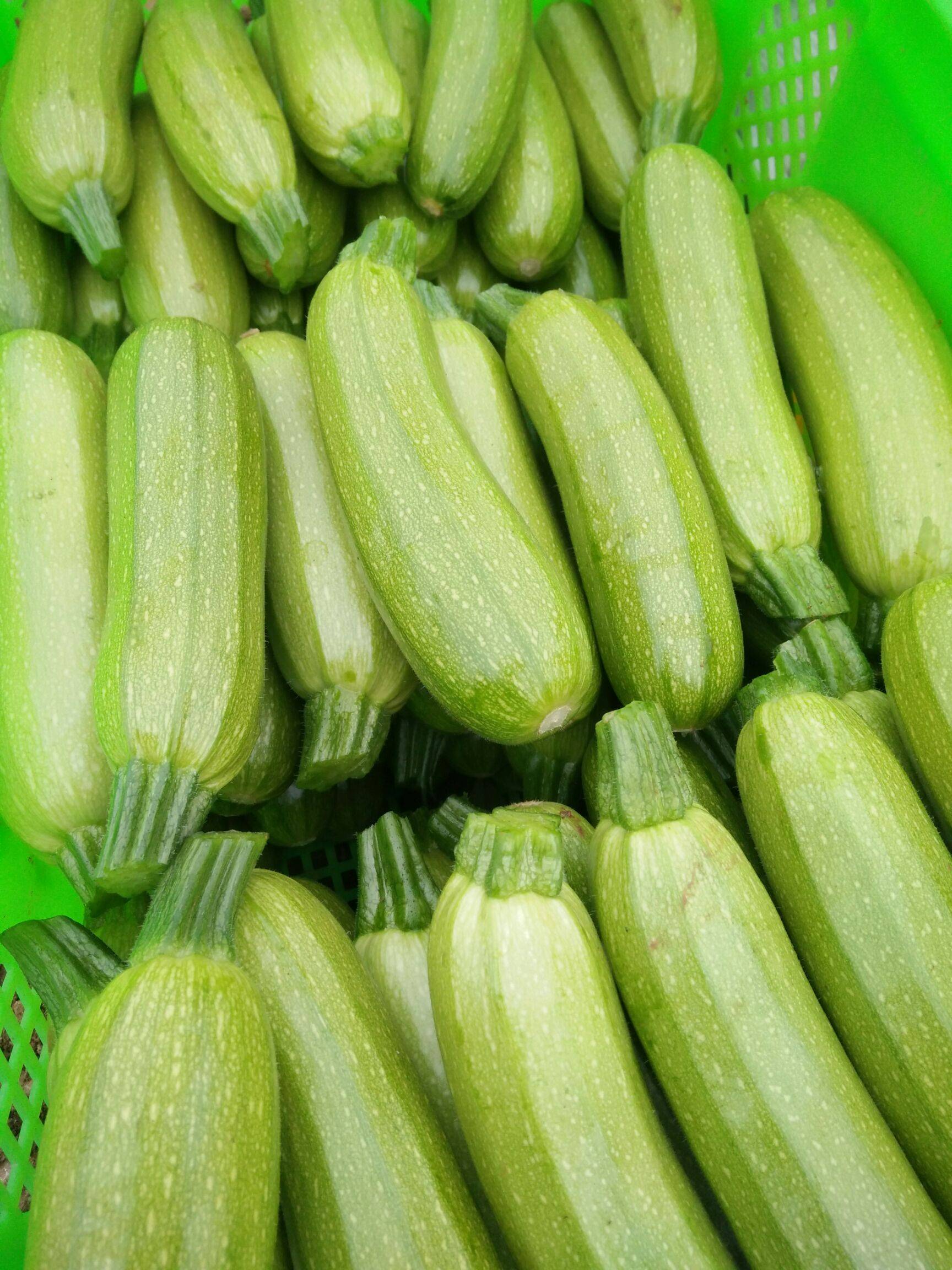 西胡瓜的独门烹饪法,让你秒变厨艺大师!