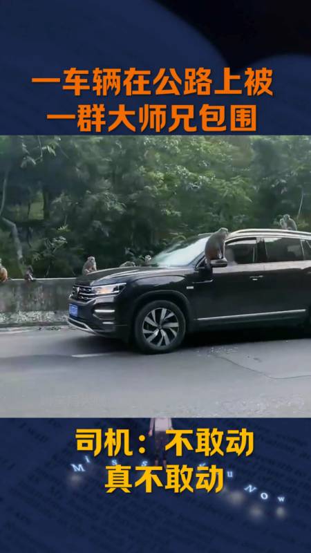 26万《新还珠格格》演员夫妻,尔康娶了小燕子,晴儿老公不输谢霆锋12.