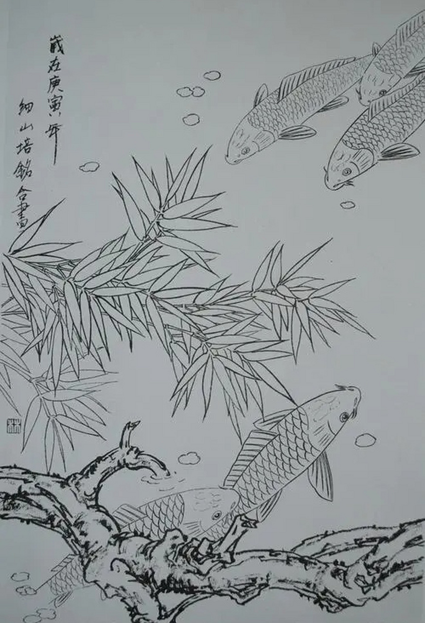 白描鲤鱼百态图片