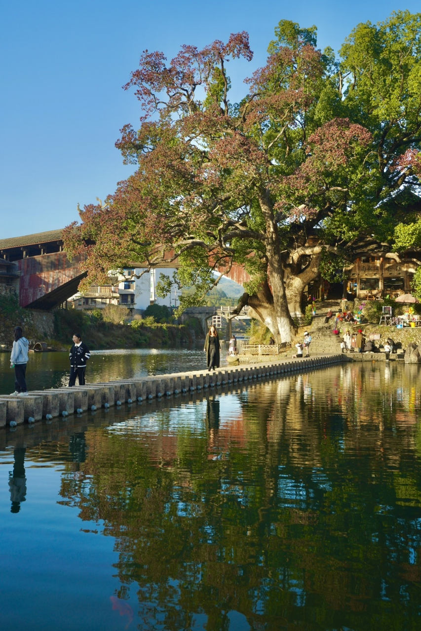 在泰顺泗溪北涧桥,每一个夕阳都值得珍惜,阳光总能勾勒出不一样的轮廓