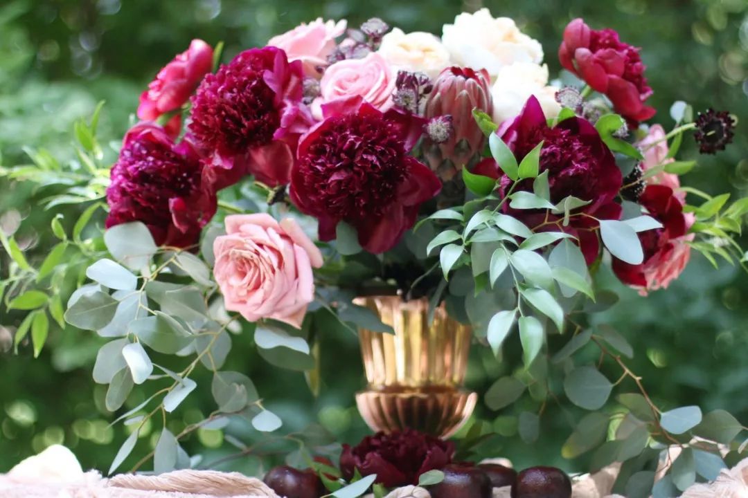 尤加利叶有多受宠