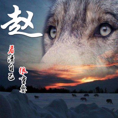 赵氏头像,字辈排行