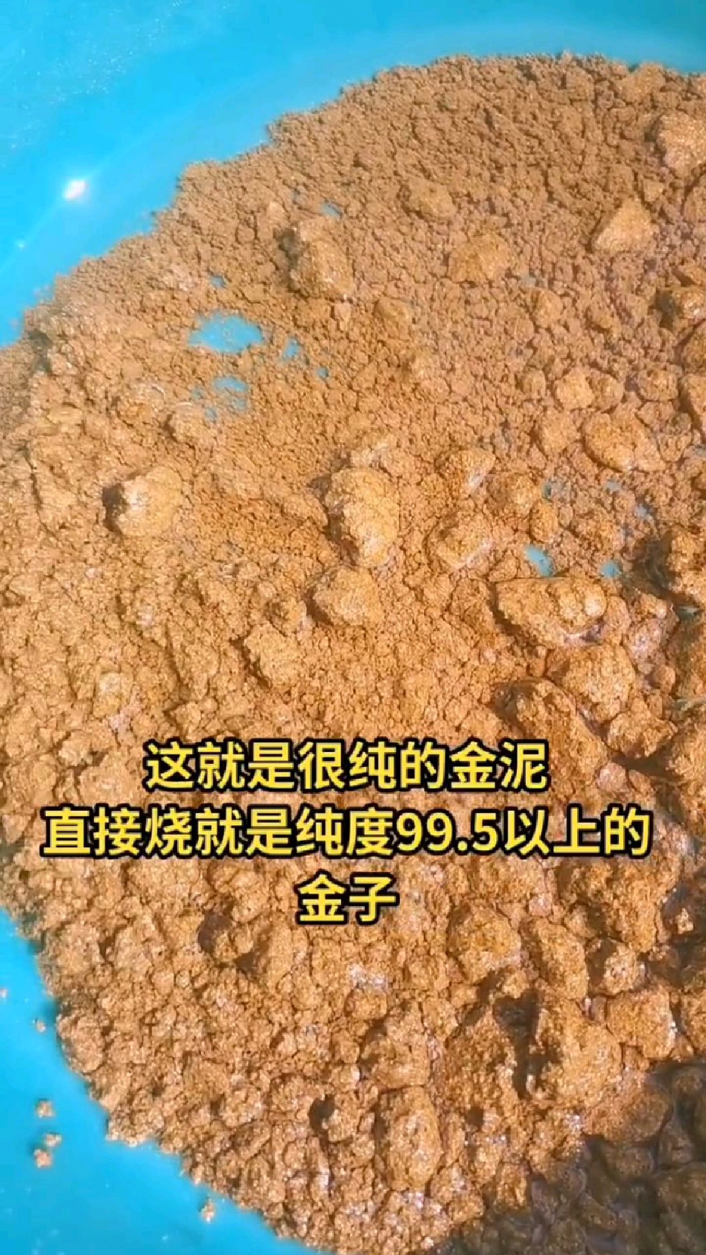 这海绵金的颜色很正吧