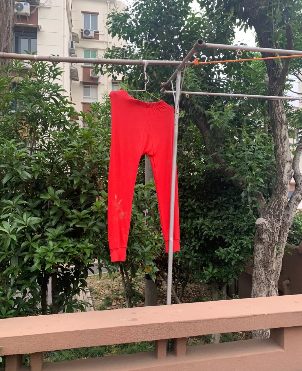 我老妈说,这是一条有历史的大红秋裤,挂了几个月了,主人都没来接它