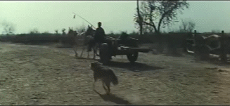 90年代宁夏银川程鹏连环杀人案始末(2)