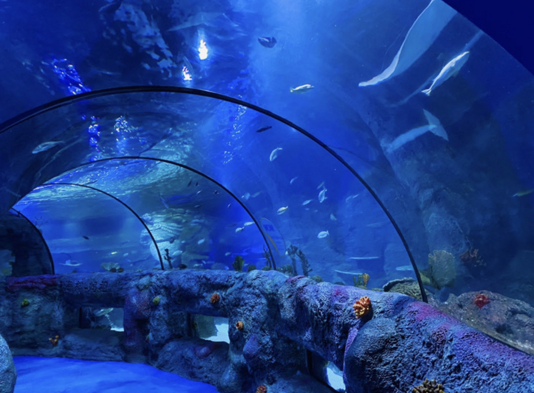 重庆长嘉汇海洋乐园是一个集科普教育,海洋文化,娱乐休闲为一体的综合