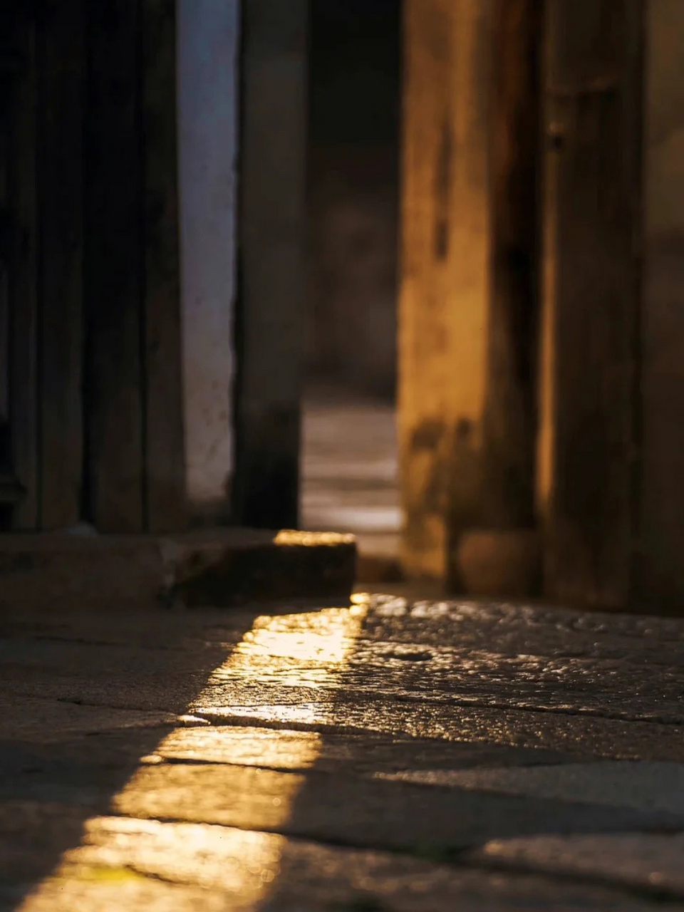 吴桂君在《喜欢一个人》中说:爱情永远是两个人的努力,而不是一个人的