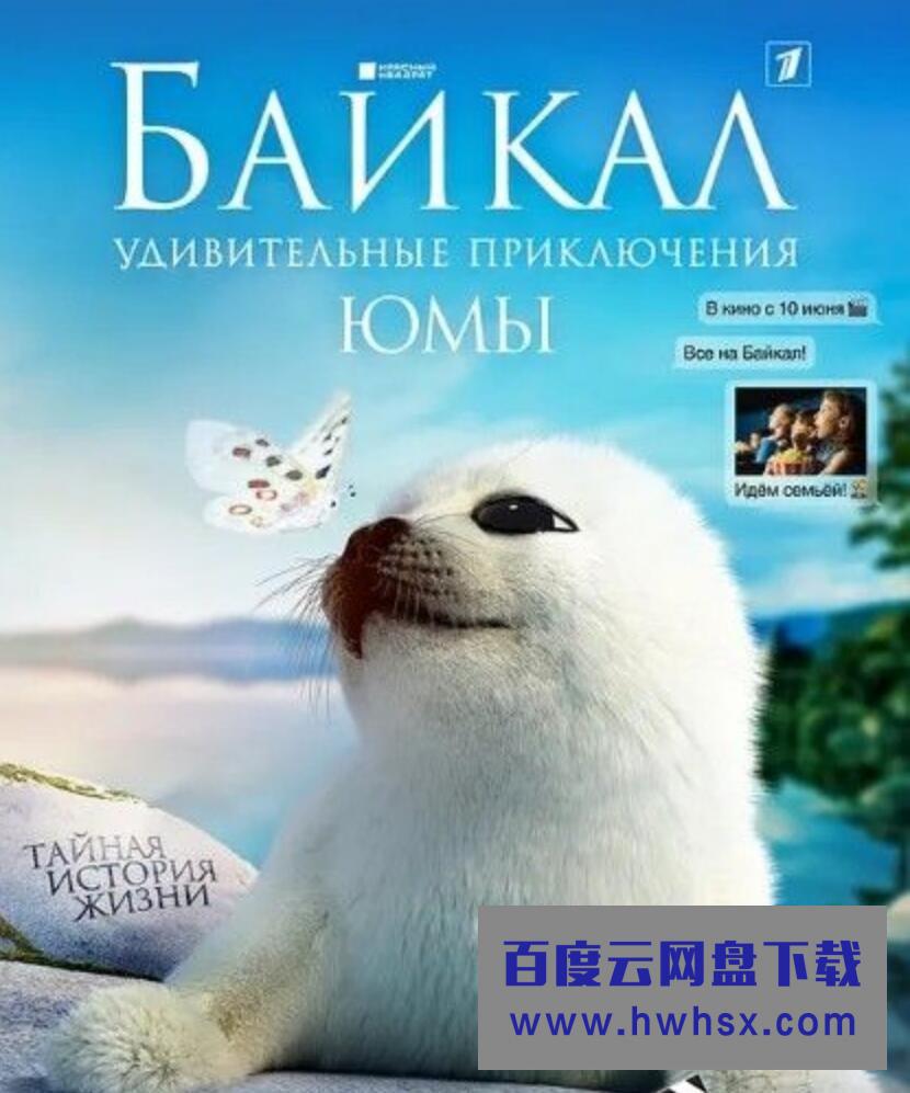 2019自然纪录片《神奇的贝加尔湖》HD1080P.中字4K|1080P高清百度网盘