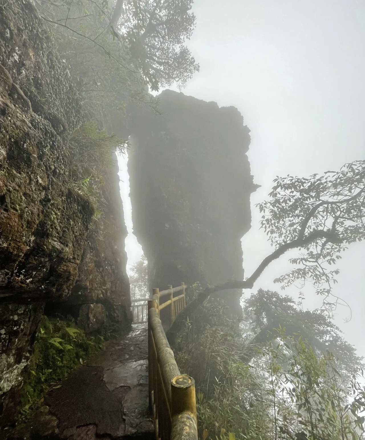 金秀圣堂山