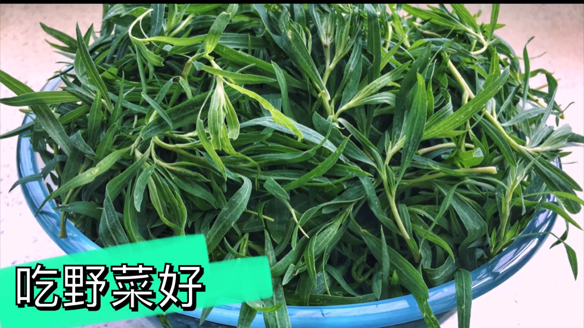吃扫帚苗好处多,这样做才好吃,越嚼越香,凉了更爽滑