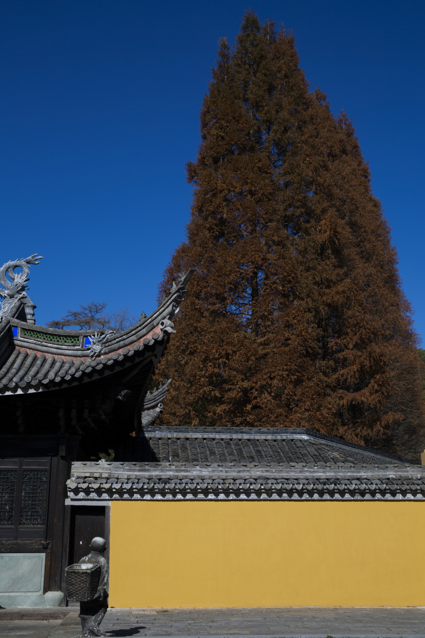 宁波五磊山风景区随拍@国宁影像汇