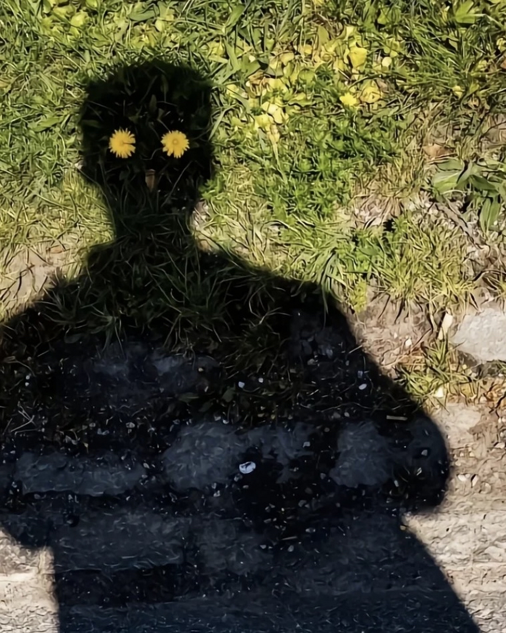 第一次发现我的影子那么有趣,还带了两朵小花