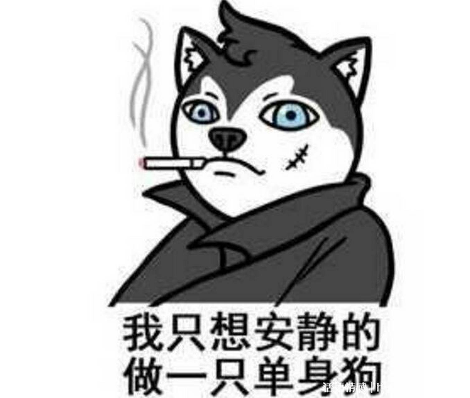 突然有一个想法,疫情放开后,那些曾经的快乐的单身狗被关在出租屋里
