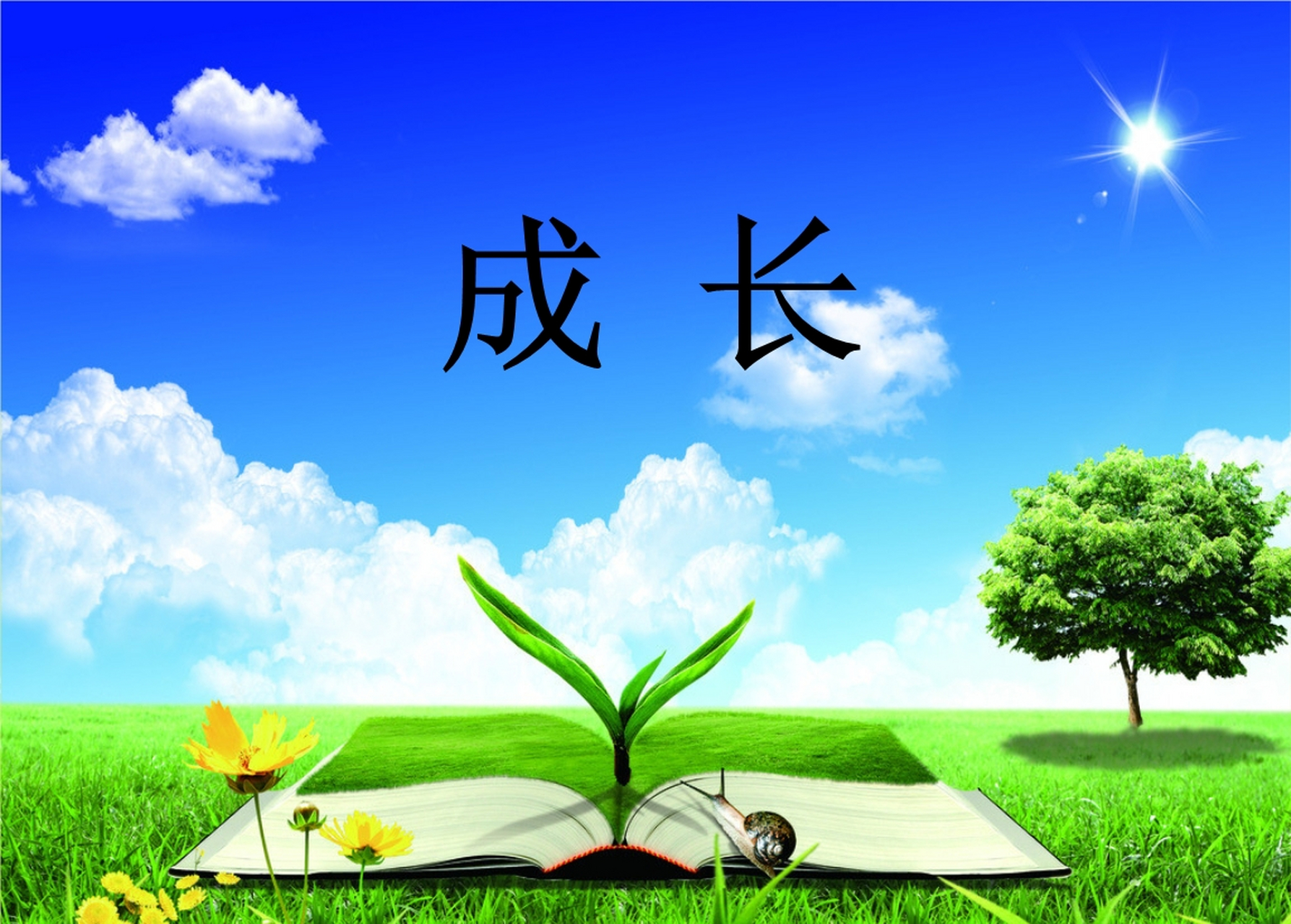 如果你想要快速成长,那么牵头做事,承担责任,是最快的方式! 空想是不