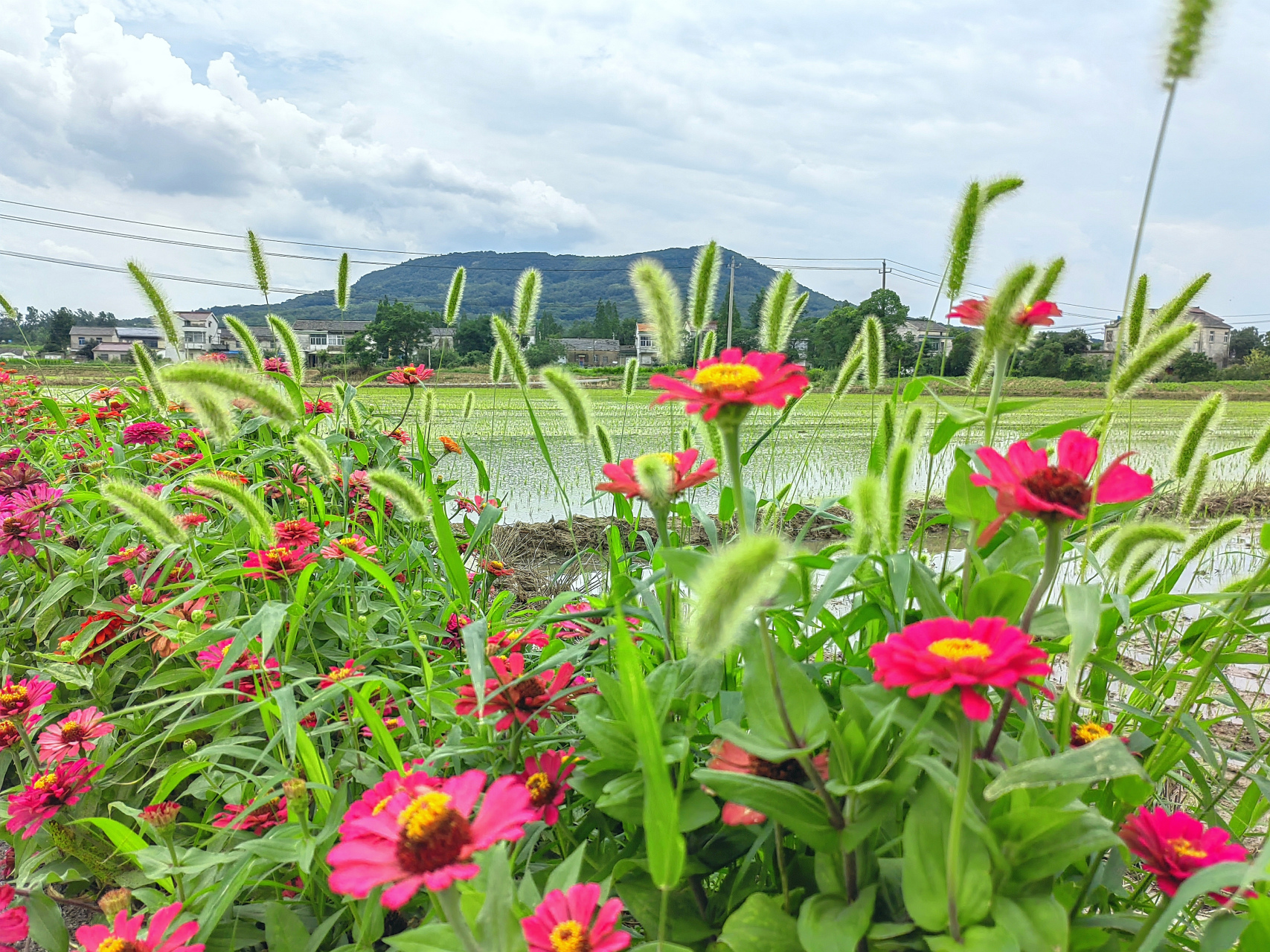 赤山,位于江苏镇江市句容,由三百万年前火山喷发由红色砂岩组成,又名