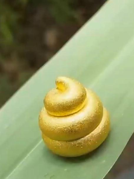 见过黄金粑粑吗,这翔真香!