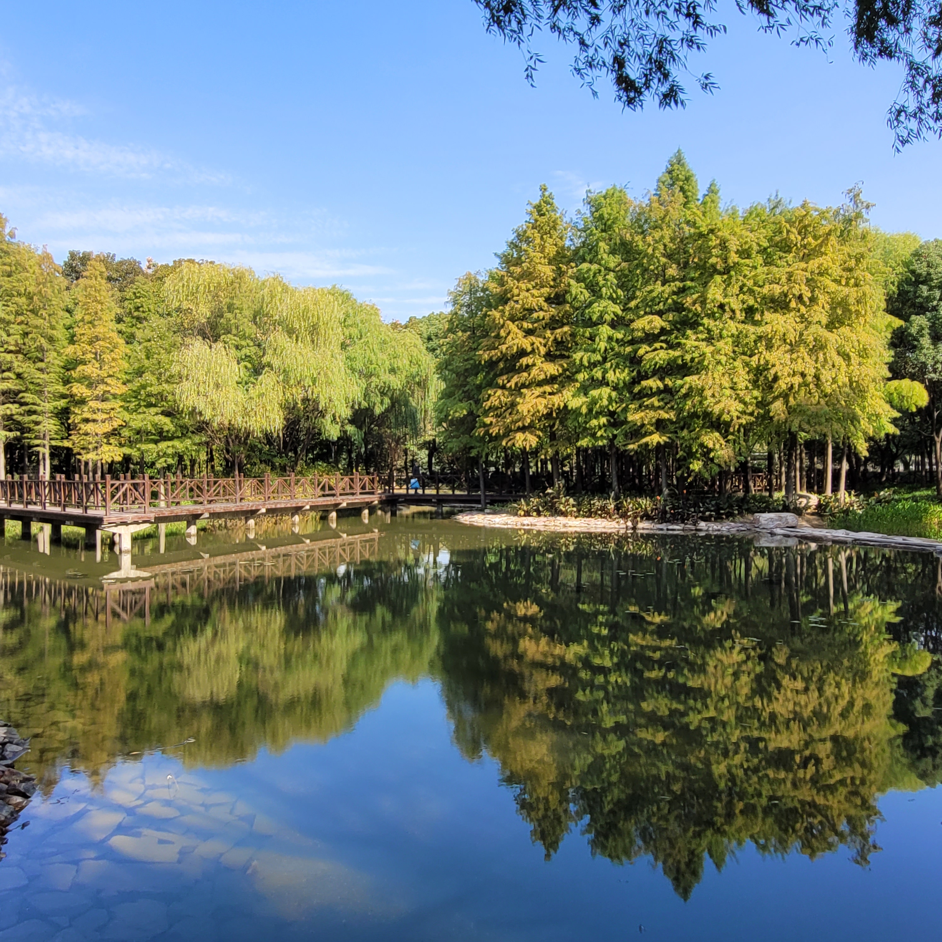 无锡的巡塘古镇和尚贤河湿地公园