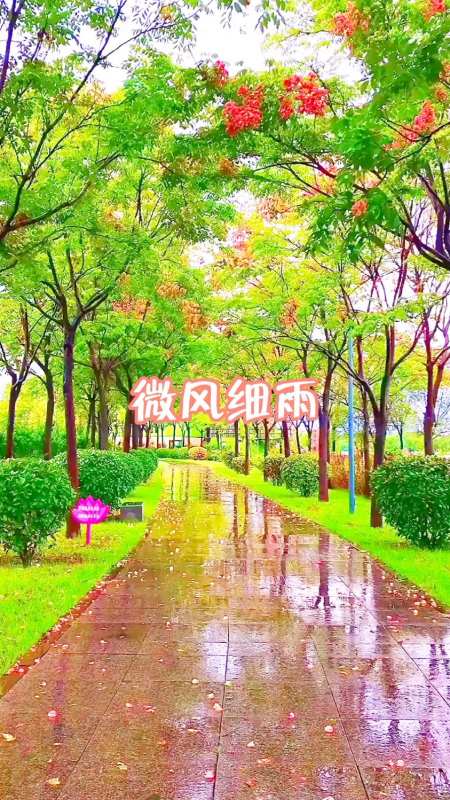 王菲演唱的一首歌曲《微风细雨》歌声悦耳动听