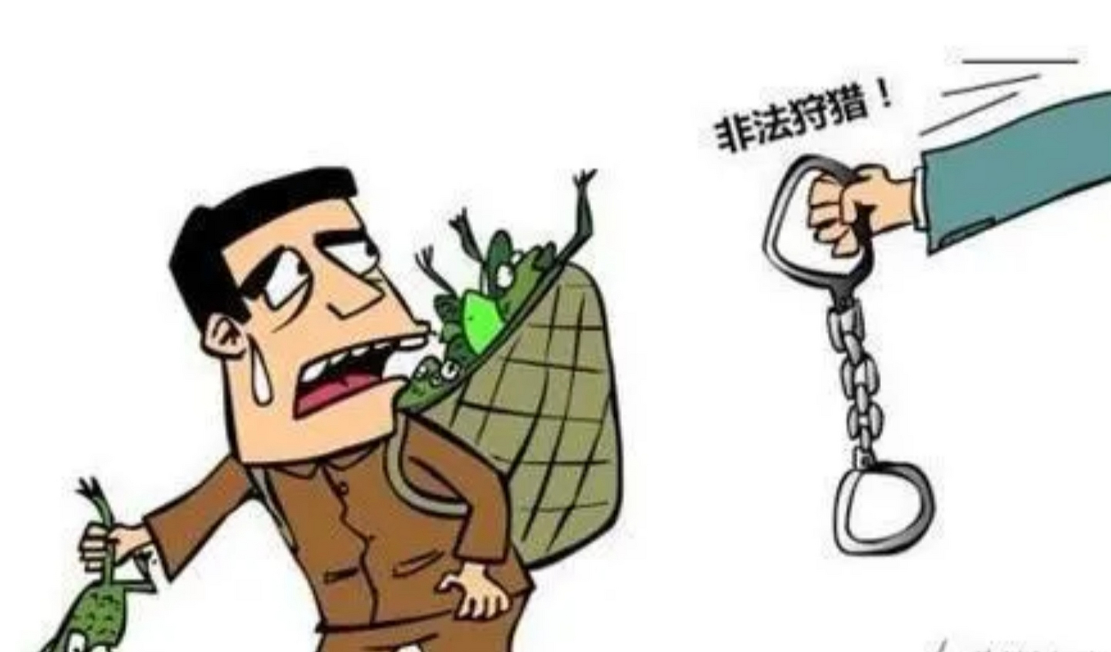 拉儿子在自己家的地周围使用钢丝绳捕到三只刺猬带回家饲养,又拿到