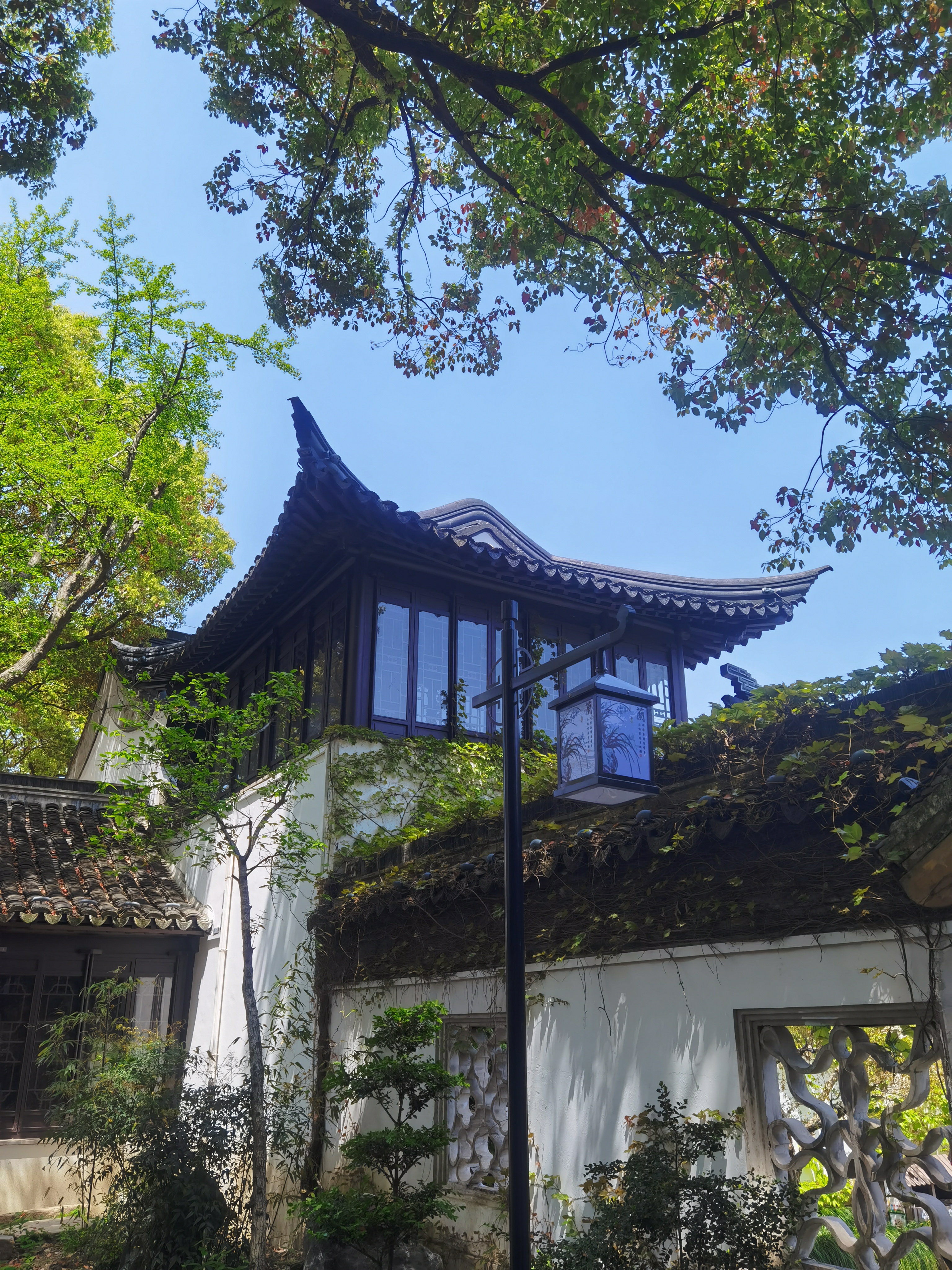 太仓南园,宝藏之地