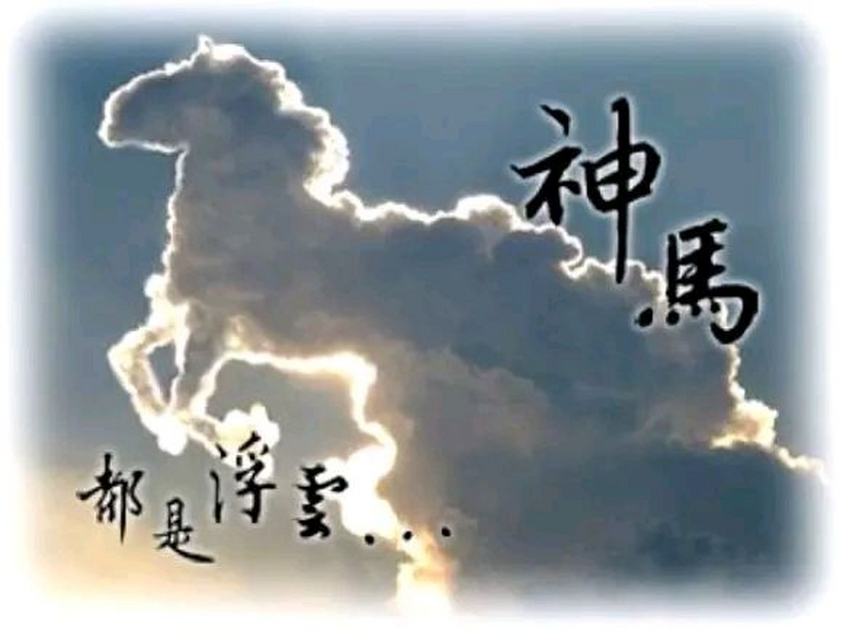 是啊!神马都是浮云!一吹就散了!不管你是汗血宝马还是什么jackey马!
