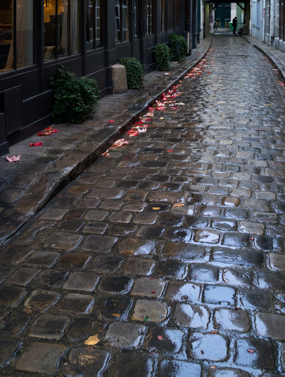 早晨下雨的图片真实的图片