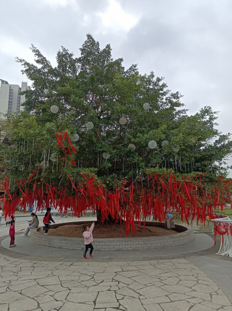 今天带孩子逛公园,看到一棵树上挂闹许愿条,上前看发现了一条许愿太有