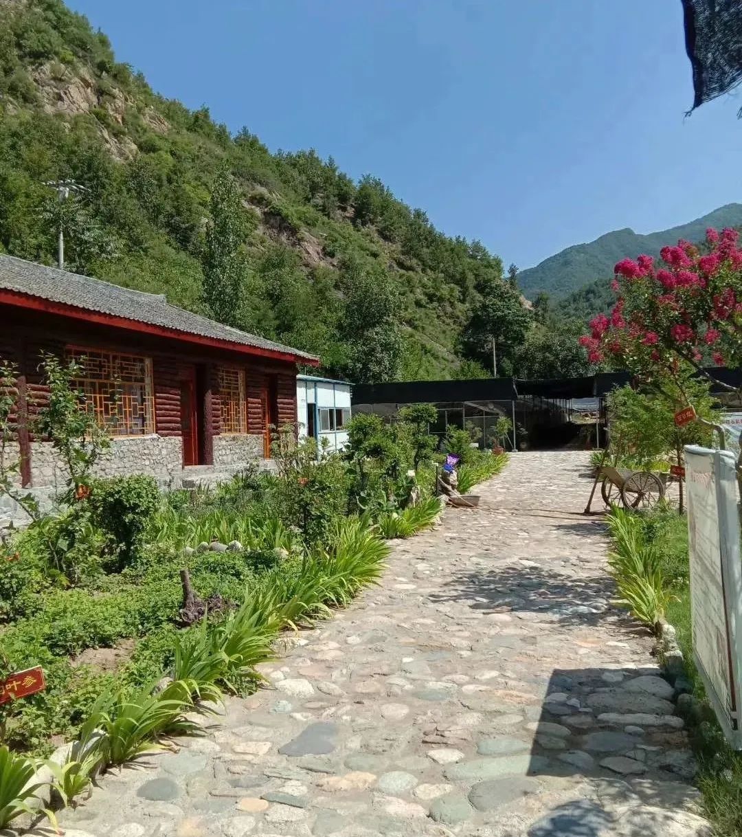 岭东村位于河南省卢氏县南部,处于豫陕鄂三角地域,朱阳关镇东2公里处