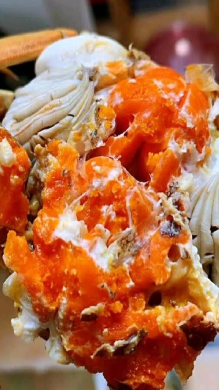 0两12只 六月黄鲜活螃蟹现货 生鲜河蟹-度小视