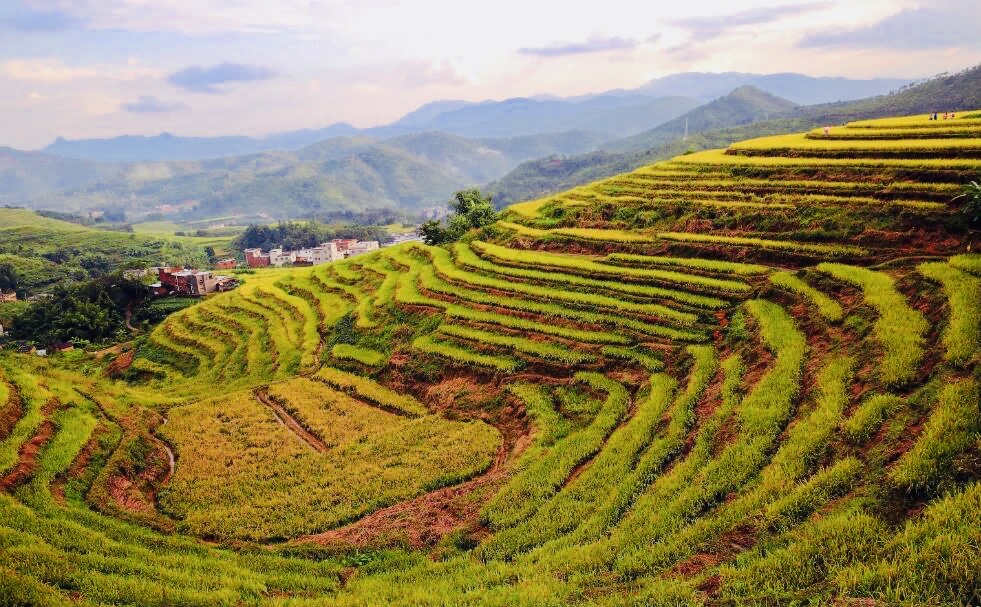 广东梅州坪山梯田,虽没元阳名气大,但四季景观各异,颇有特色