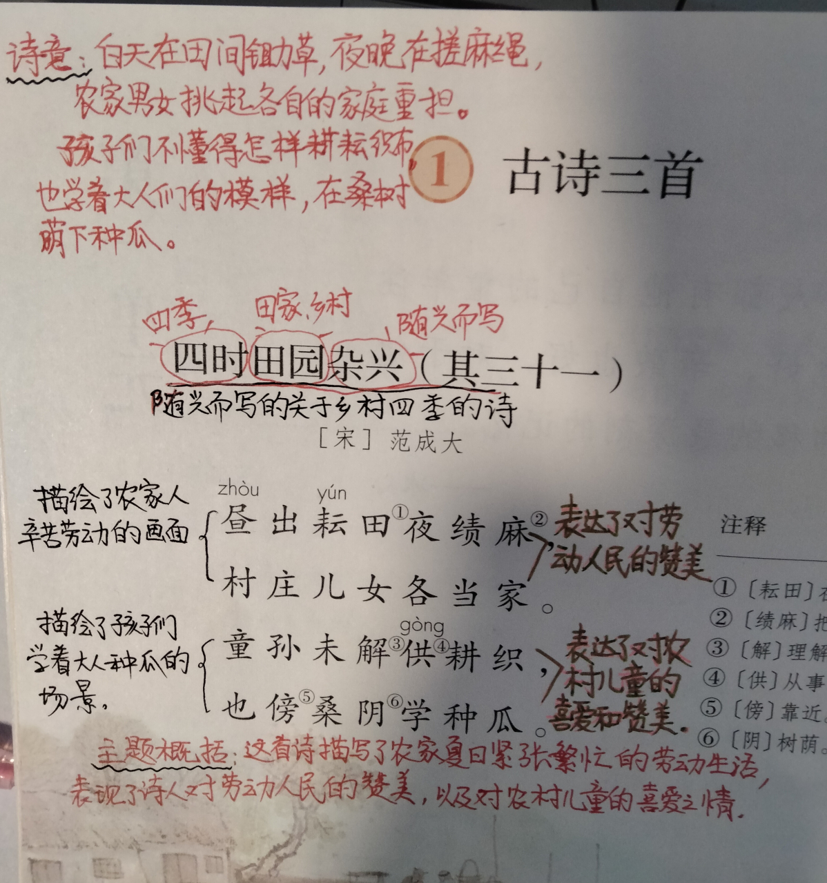 五年级语文下册《四时田园杂兴》《稚子弄冰》课堂笔记
