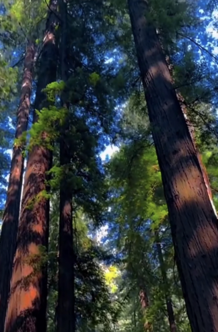原来狗熊岭真的存在