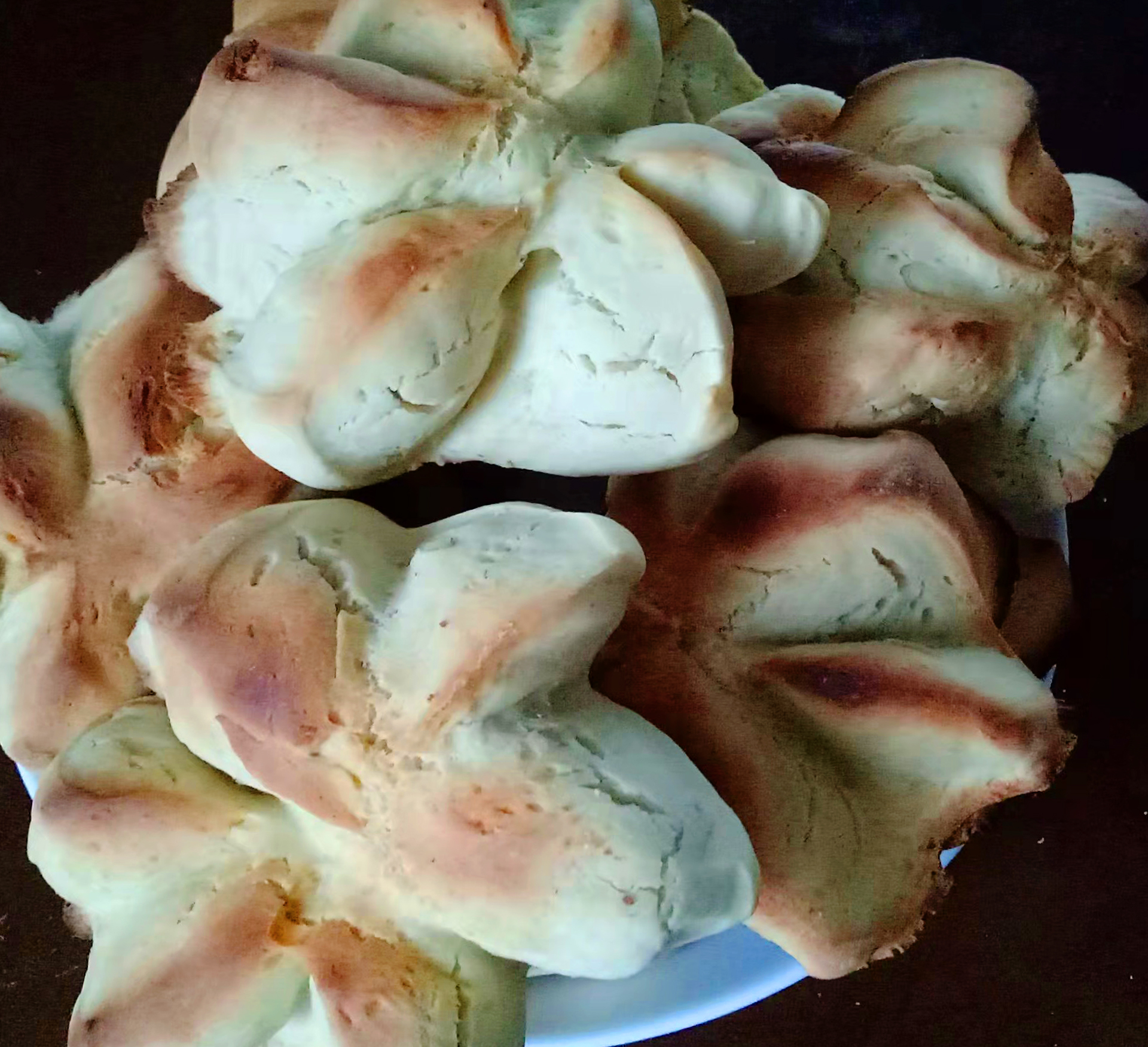 什么?镇江的特色美味京江脐,原来是八个角的?