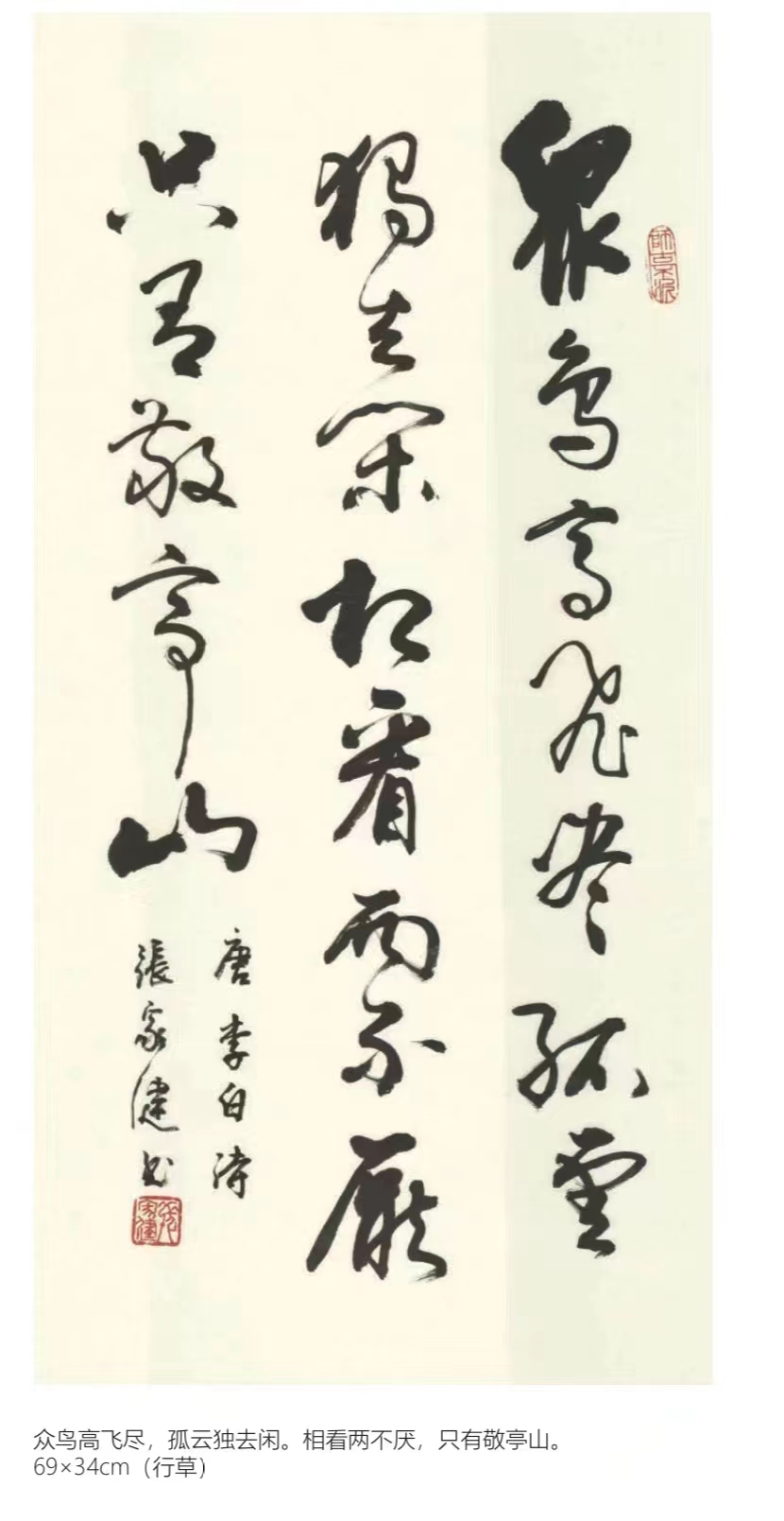 上海书法家张家健简介