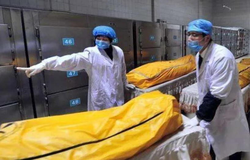 尸体为什么会发臭,尸臭到底有多臭?