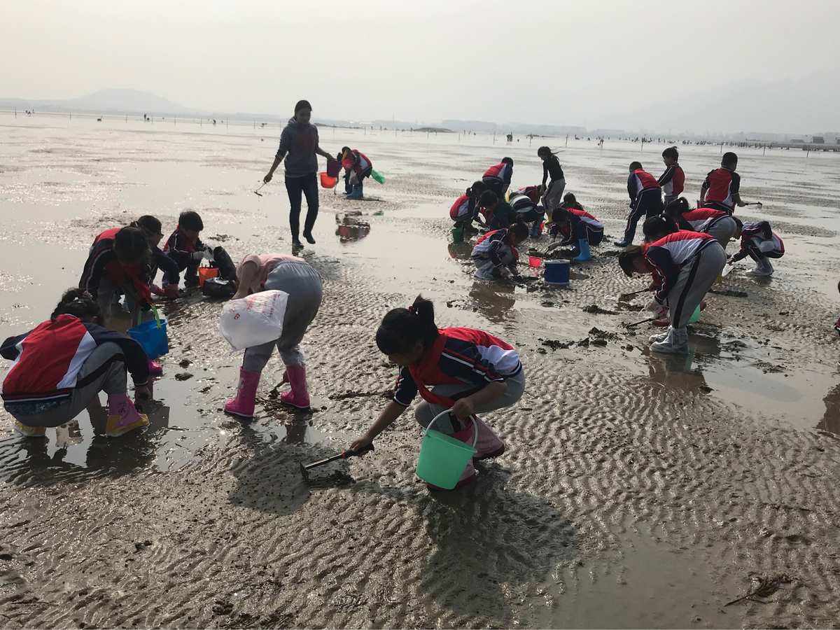 崂山会场赶海园图片