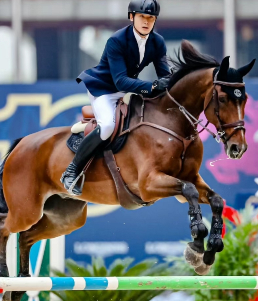 朱珠老公在鸟巢参加马术比赛,女儿到场为爸爸助阵加油.