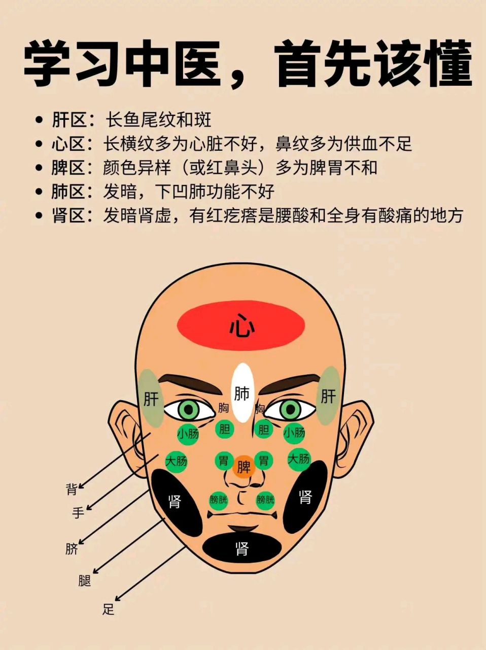 男性面部痘痘反射区图图片